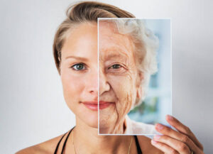 Biology of Aging in Humans