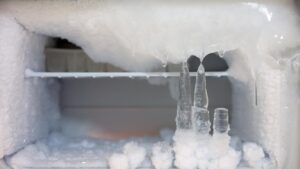 A defrosted freezer interior showcasing best ways to defrost your freezer